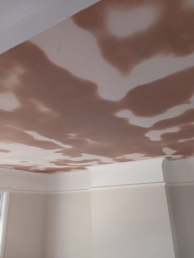 Plastering by Quality Plastering Services QPS - Warboys